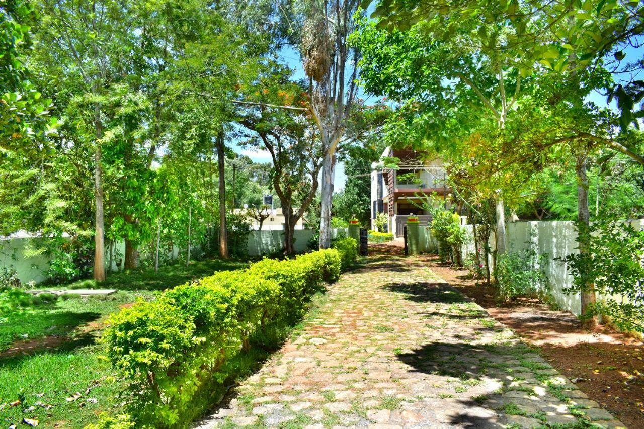 Kozee Kaves Hotel Yelagiri Buitenkant foto
