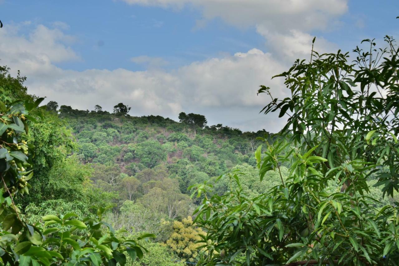 Kozee Kaves Hotel Yelagiri Buitenkant foto