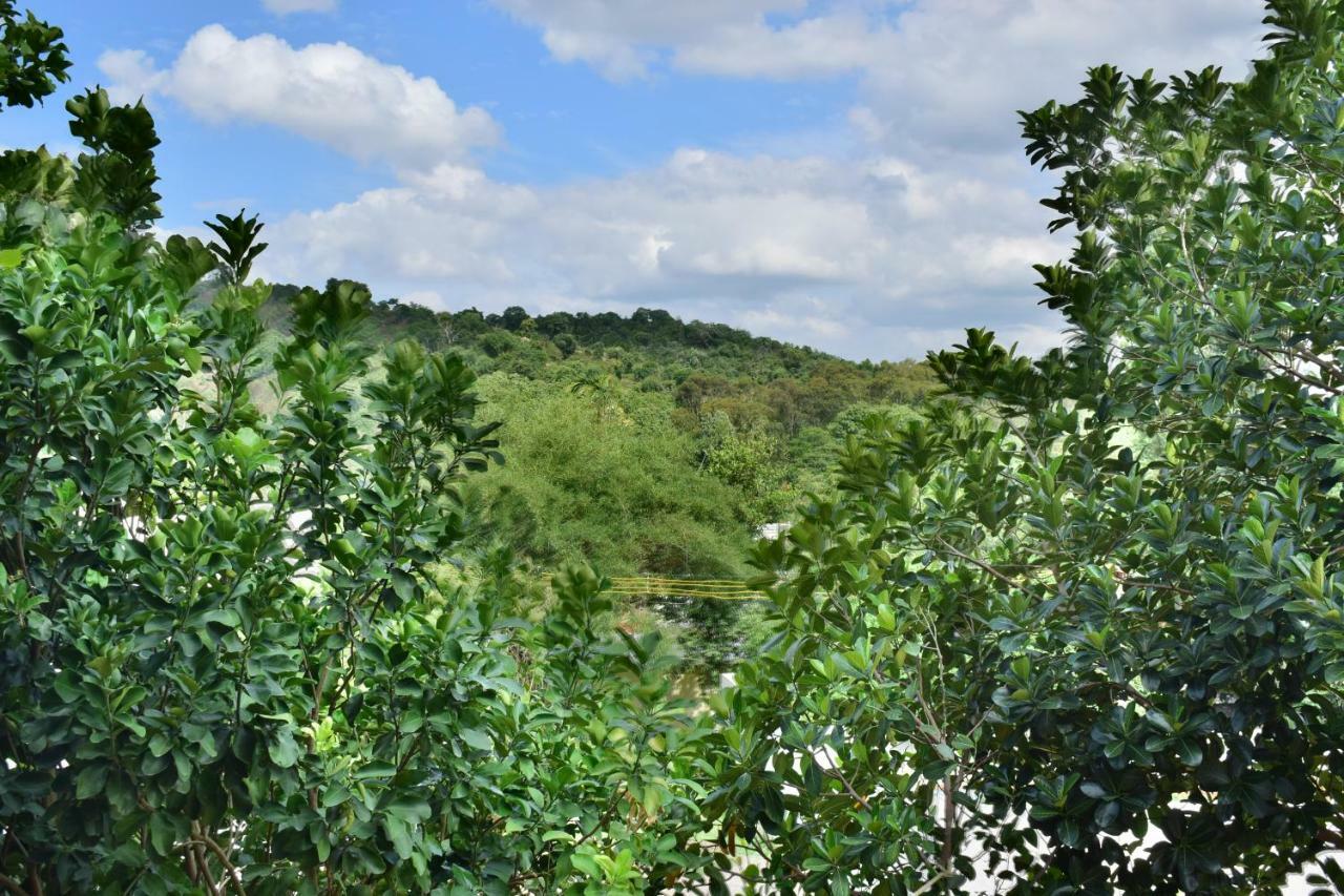 Kozee Kaves Hotel Yelagiri Buitenkant foto