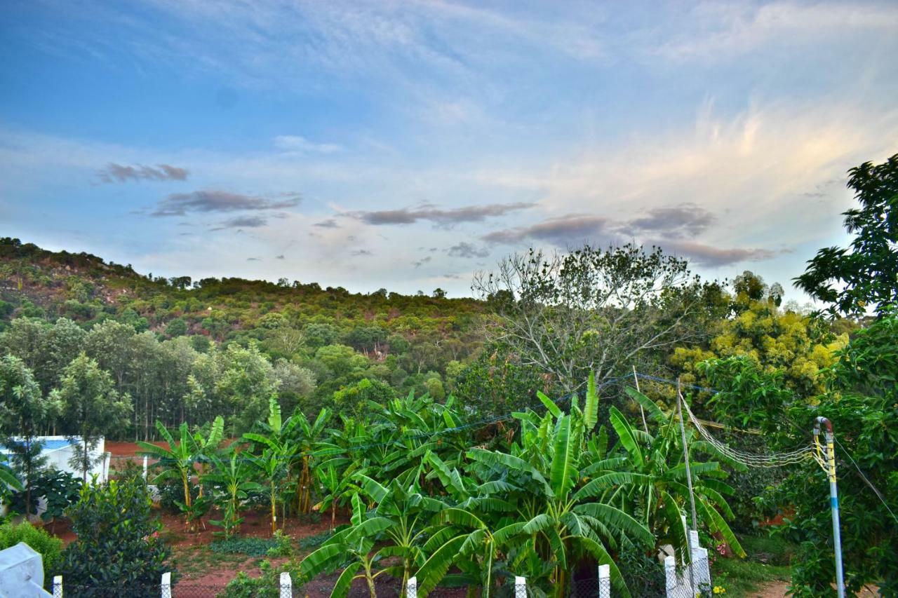 Kozee Kaves Hotel Yelagiri Buitenkant foto